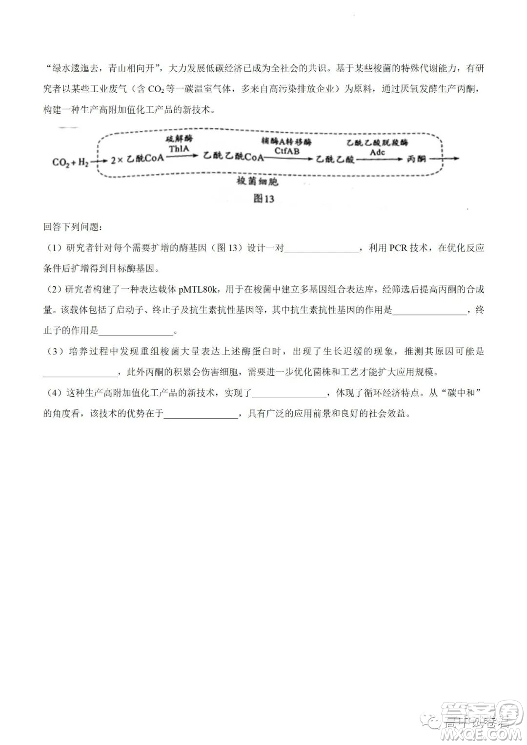 2022高考真題新高考廣東卷生物試題及答案解析