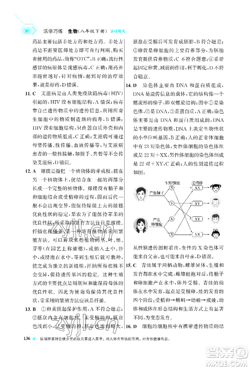 浙江科學(xué)技術(shù)出版社2022世紀(jì)金榜活學(xué)巧練八年級下冊生物人教版參考答案