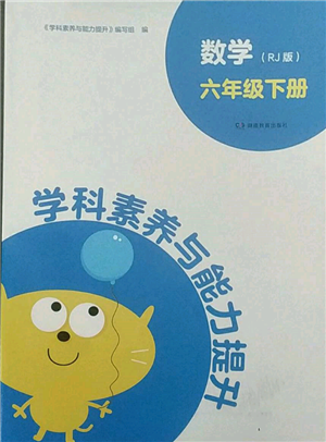 湖南教育出版社2022學(xué)科素養(yǎng)與能力提升六年級下冊數(shù)學(xué)人教版參考答案