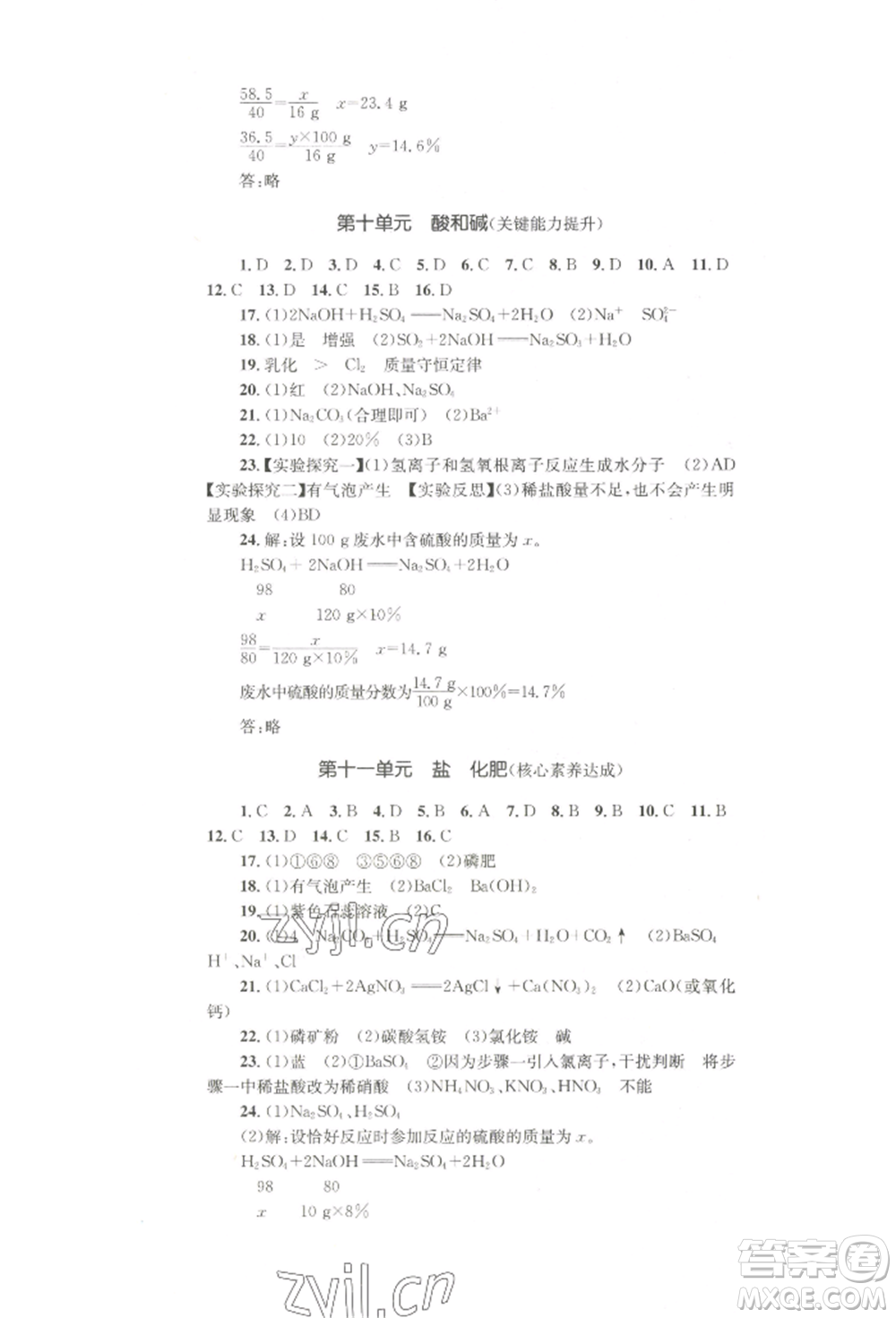 湖南教育出版社2022學(xué)科素養(yǎng)與能力提升九年級下冊化學(xué)人教版參考答案