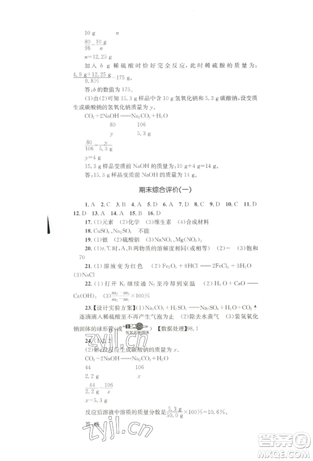 湖南教育出版社2022學(xué)科素養(yǎng)與能力提升九年級下冊化學(xué)人教版參考答案