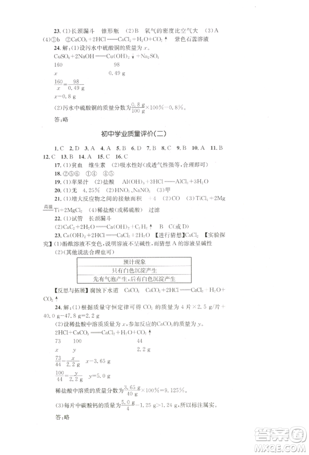 湖南教育出版社2022學(xué)科素養(yǎng)與能力提升九年級下冊化學(xué)人教版參考答案