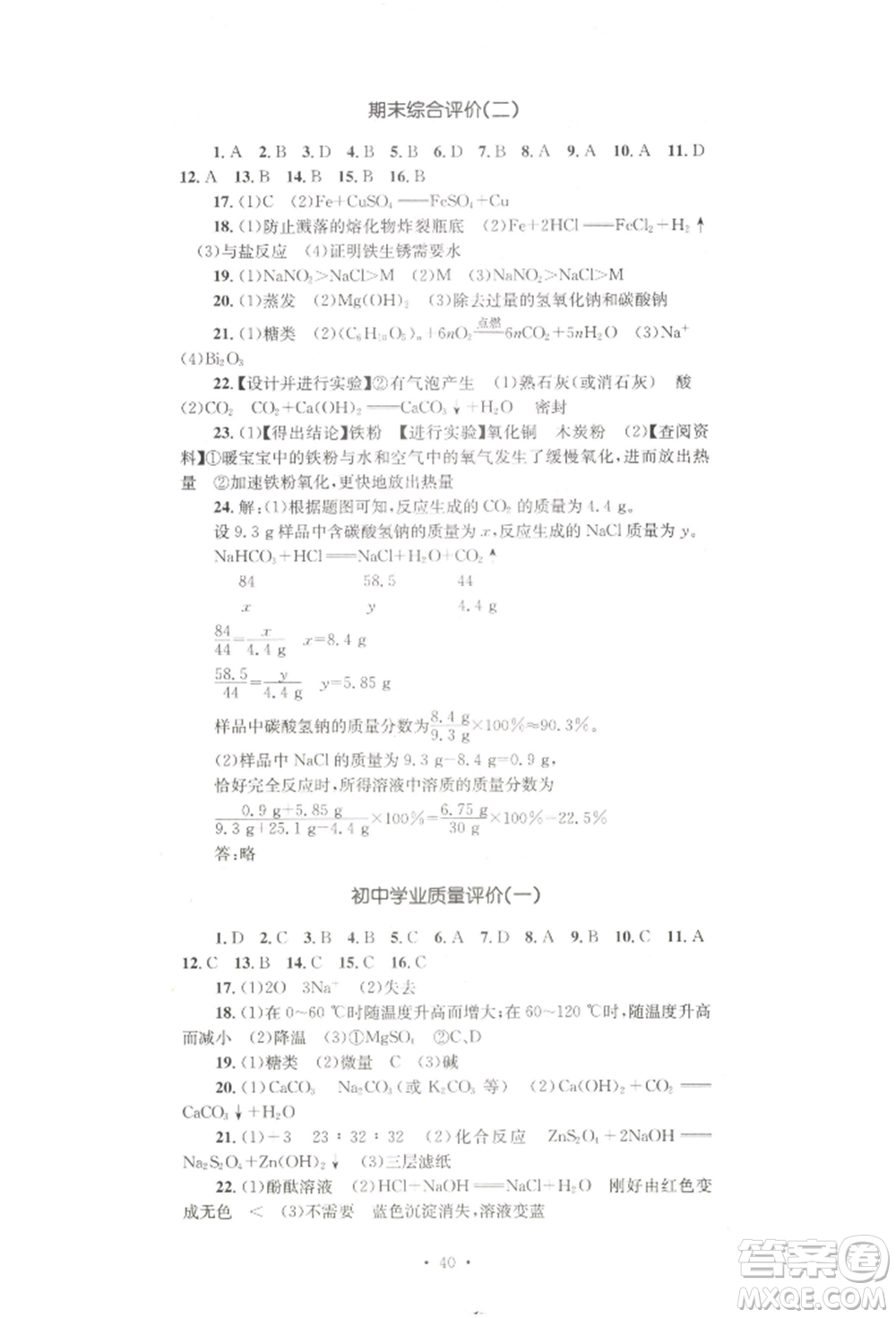 湖南教育出版社2022學(xué)科素養(yǎng)與能力提升九年級下冊化學(xué)人教版參考答案