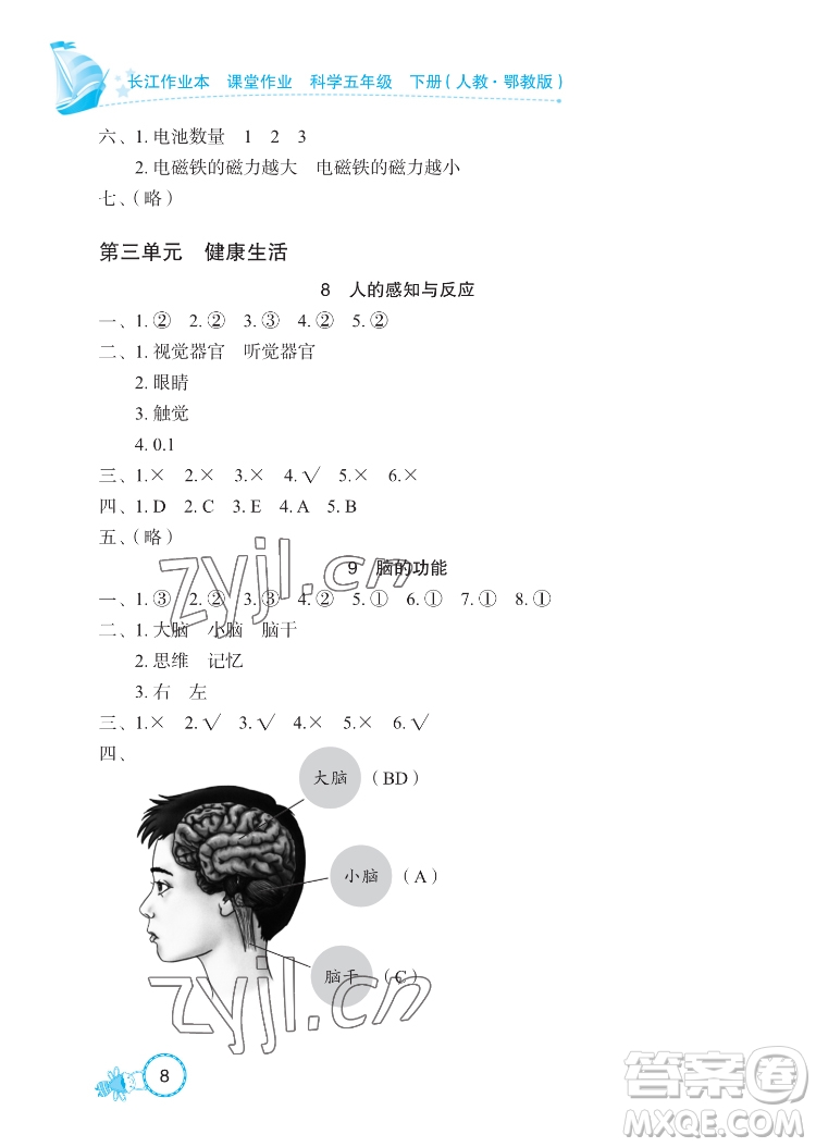 湖北教育出版社2022長江作業(yè)本課堂作業(yè)科學五年級下冊鄂教版答案