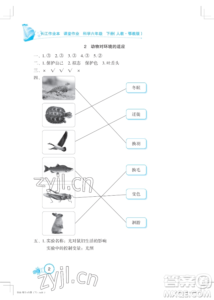 湖北教育出版社2022長(zhǎng)江作業(yè)本課堂作業(yè)科學(xué)六年級(jí)下冊(cè)鄂教版答案