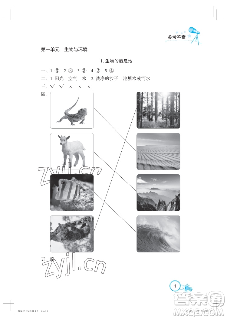 湖北教育出版社2022長(zhǎng)江作業(yè)本課堂作業(yè)科學(xué)六年級(jí)下冊(cè)鄂教版答案