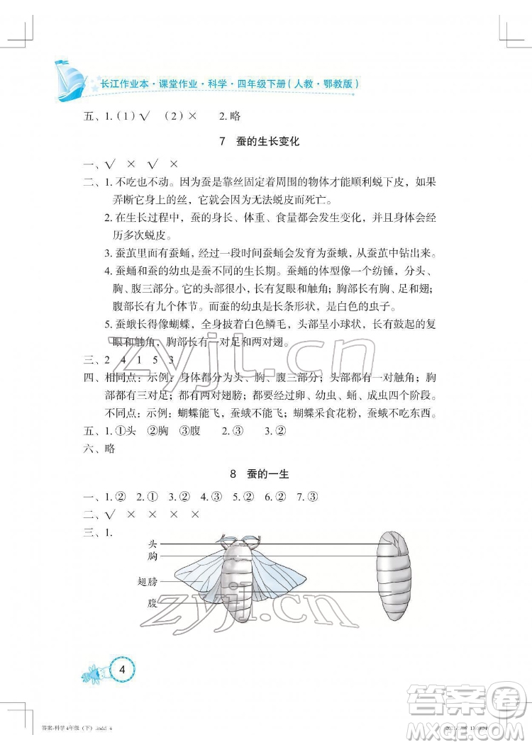 湖北教育出版社2022長江作業(yè)本課堂作業(yè)科學(xué)四年級下冊鄂教版答案