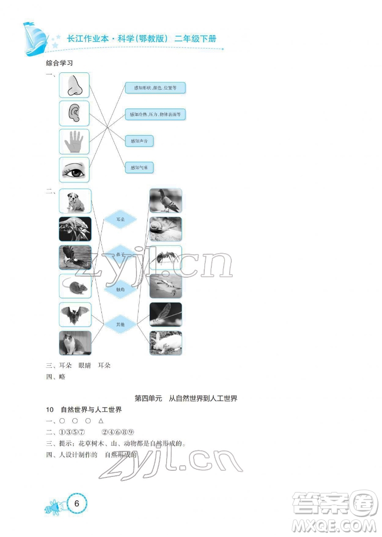 湖北教育出版社2022長江作業(yè)本課堂作業(yè)科學二年級下冊鄂教版答案
