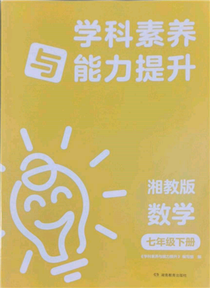 湖南教育出版社2022學(xué)科素養(yǎng)與能力提升七年級(jí)下冊(cè)數(shù)學(xué)湘教版參考答案