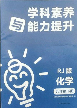 湖南教育出版社2022學(xué)科素養(yǎng)與能力提升九年級下冊化學(xué)人教版參考答案