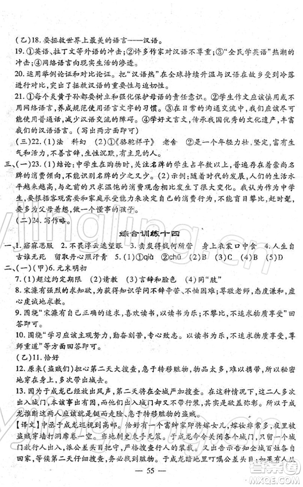 吉林教育出版社2022文曲星中考總復(fù)習(xí)九年級(jí)語(yǔ)文下冊(cè)RJ人教版答案
