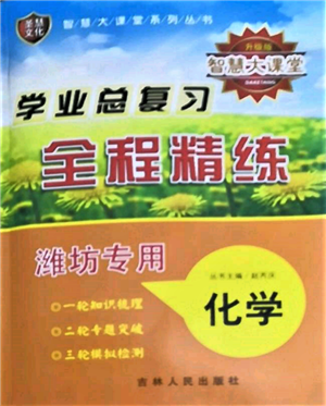 吉林人民出版社2022智慧大課堂學(xué)年總復(fù)習(xí)全程精練備戰(zhàn)中考化學(xué)通用版濰坊專(zhuān)版參考答案
