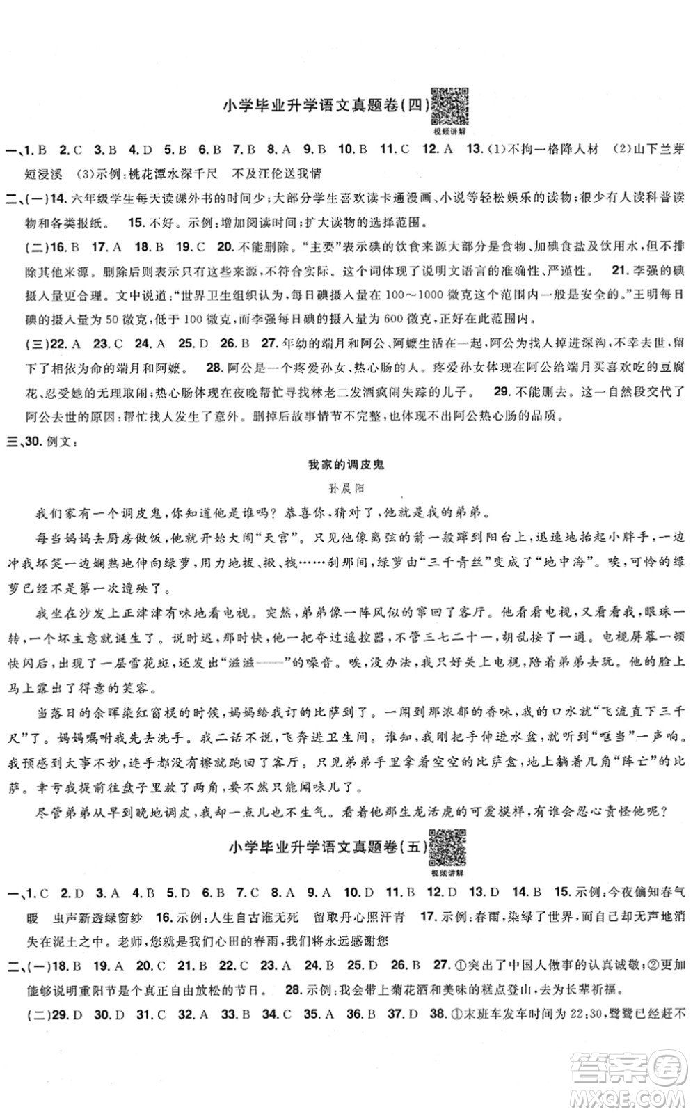 江西教育出版社2022陽光同學小學畢業(yè)升學系統(tǒng)總復習六年級語文下冊人教版答案