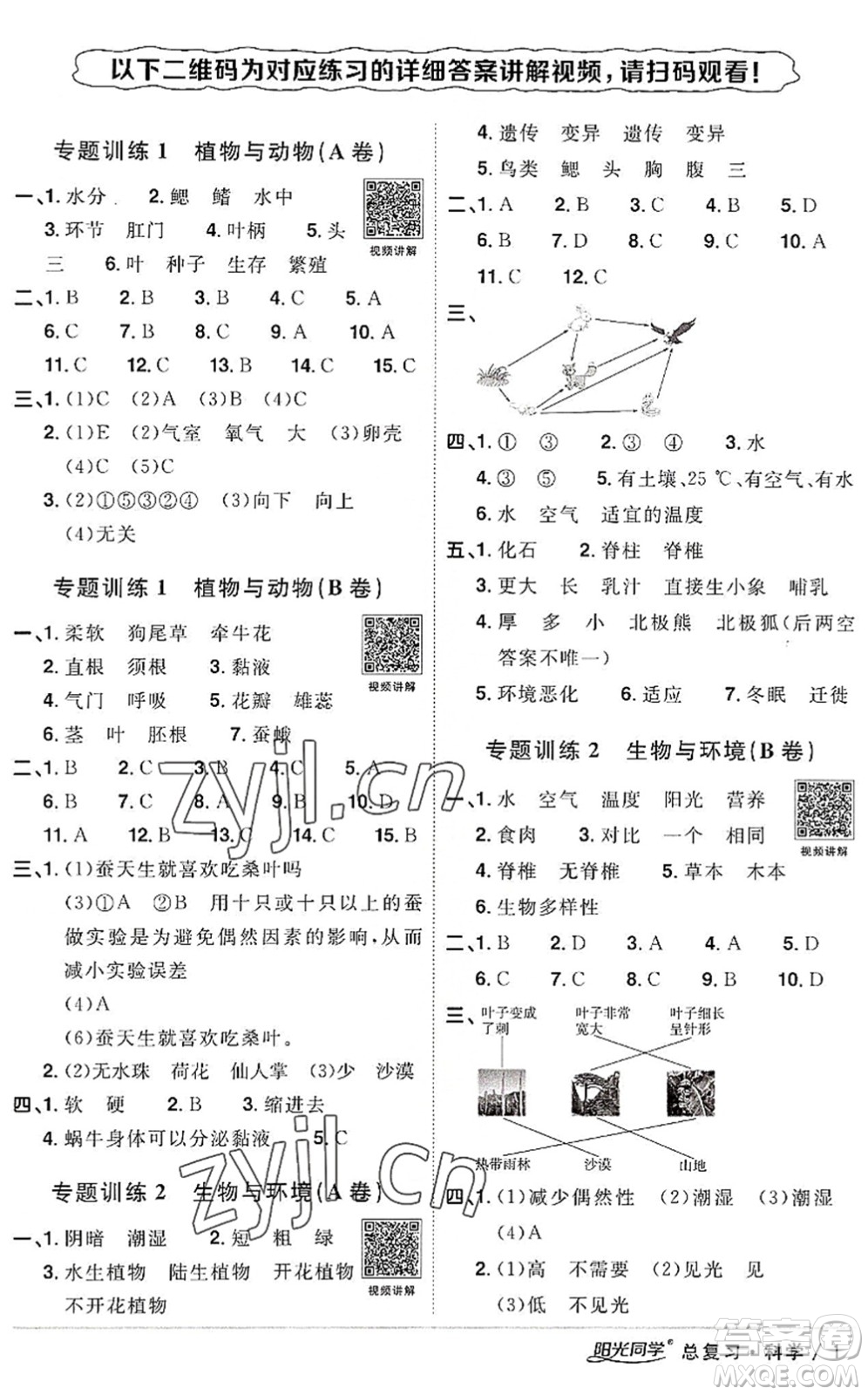 江西教育出版社2022陽光同學(xué)小學(xué)畢業(yè)升學(xué)系統(tǒng)總復(fù)習(xí)六年級(jí)科學(xué)下冊(cè)通用版答案