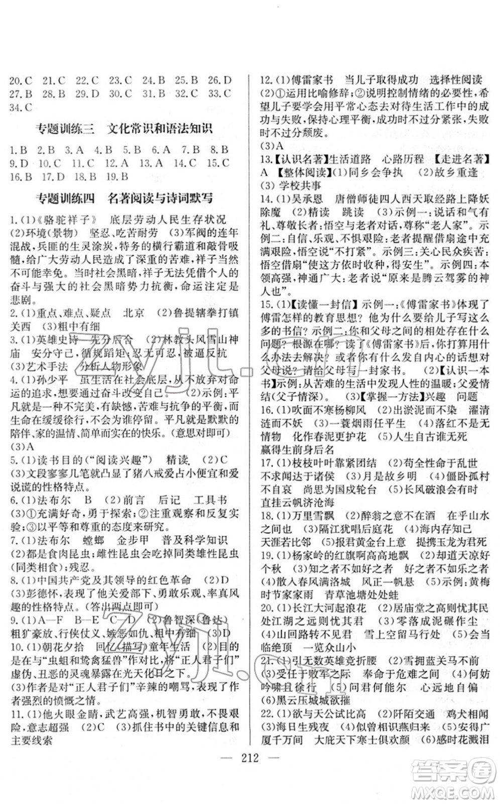 長江少年兒童出版社2022中考復(fù)習(xí)指南九年級(jí)語文通用版答案