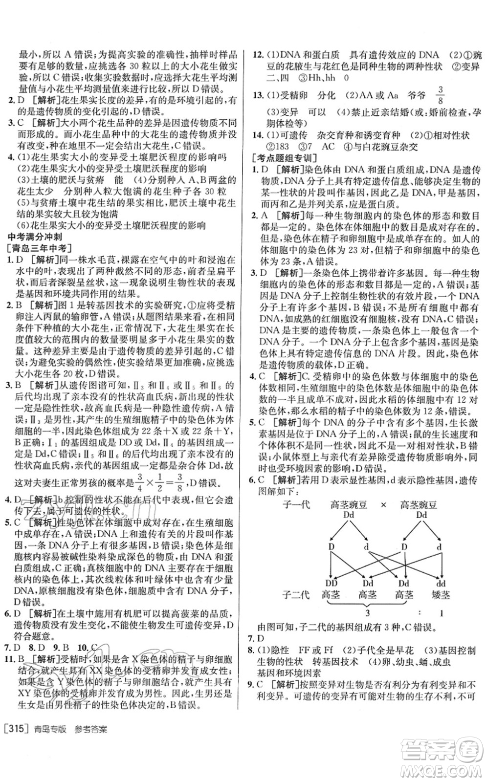 新疆青少年出版社2022升學(xué)錦囊九年級(jí)生物青島專版答案