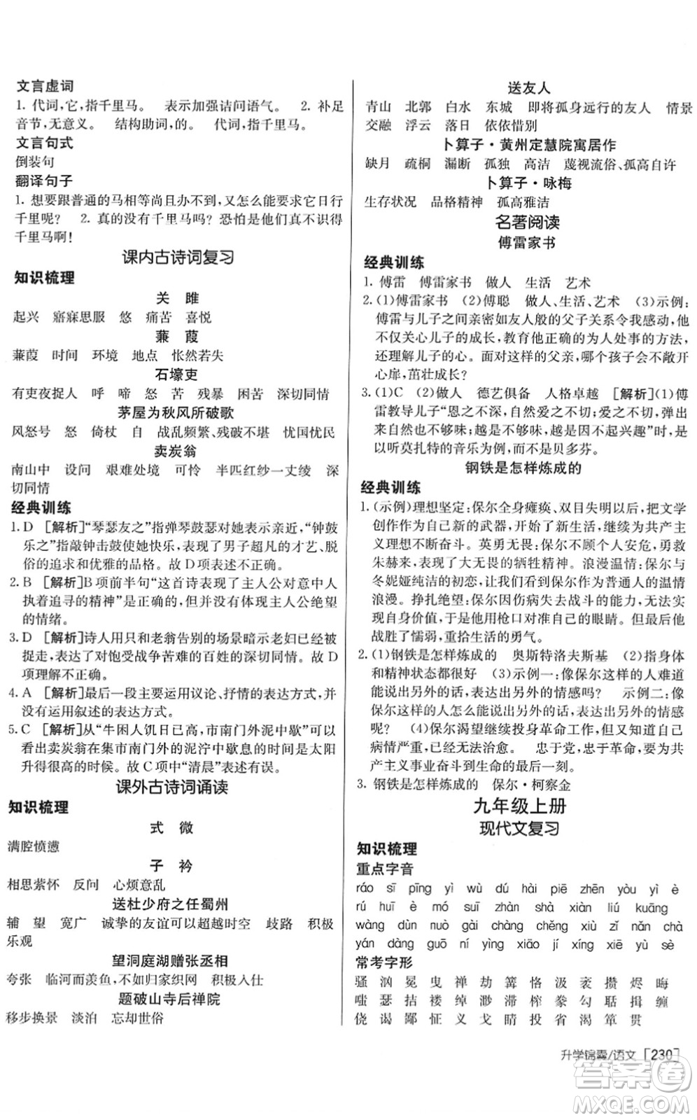 新疆青少年出版社2022升學(xué)錦囊九年級語文青島專版答案