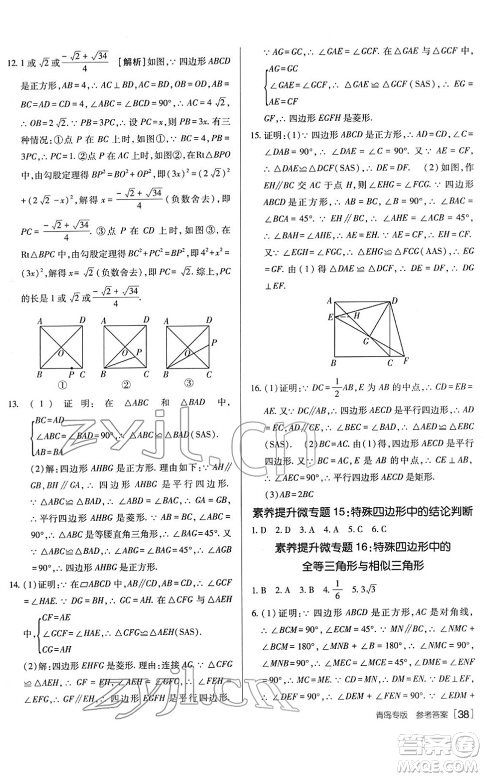 新疆青少年出版社2022升學(xué)錦囊九年級(jí)數(shù)學(xué)青島專版答案