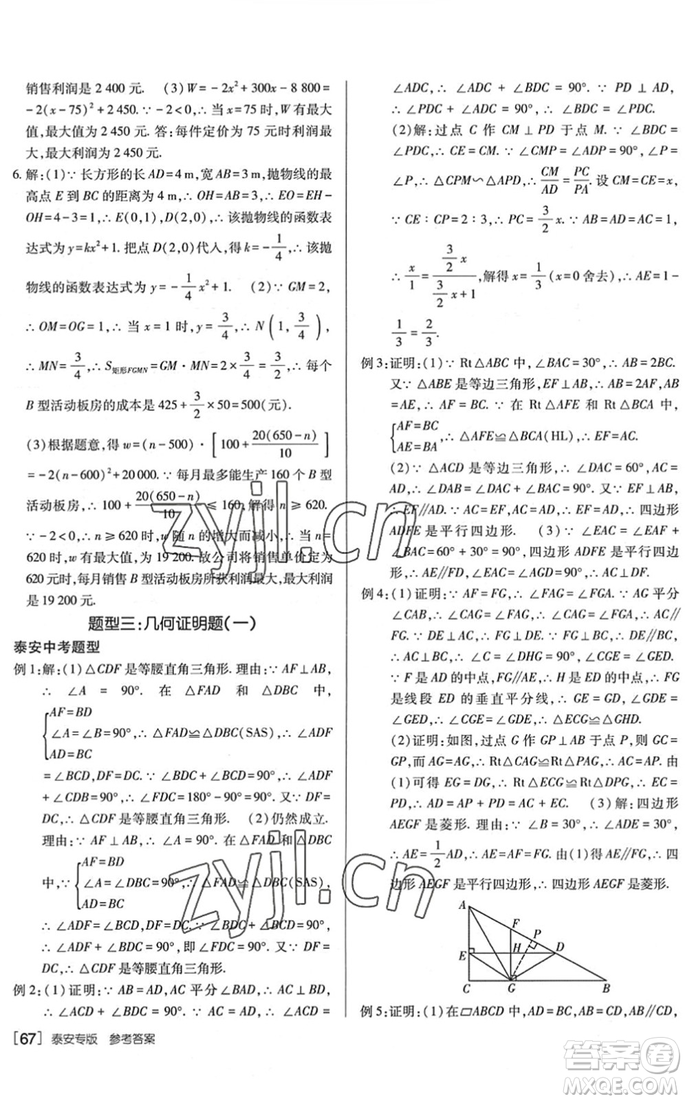 新疆青少年出版社2022升學(xué)錦囊九年級數(shù)學(xué)泰安專版答案