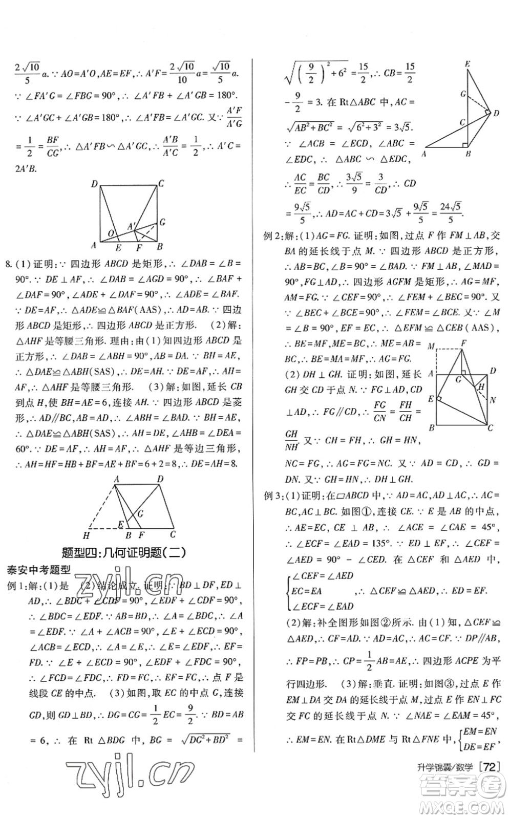 新疆青少年出版社2022升學(xué)錦囊九年級數(shù)學(xué)泰安專版答案