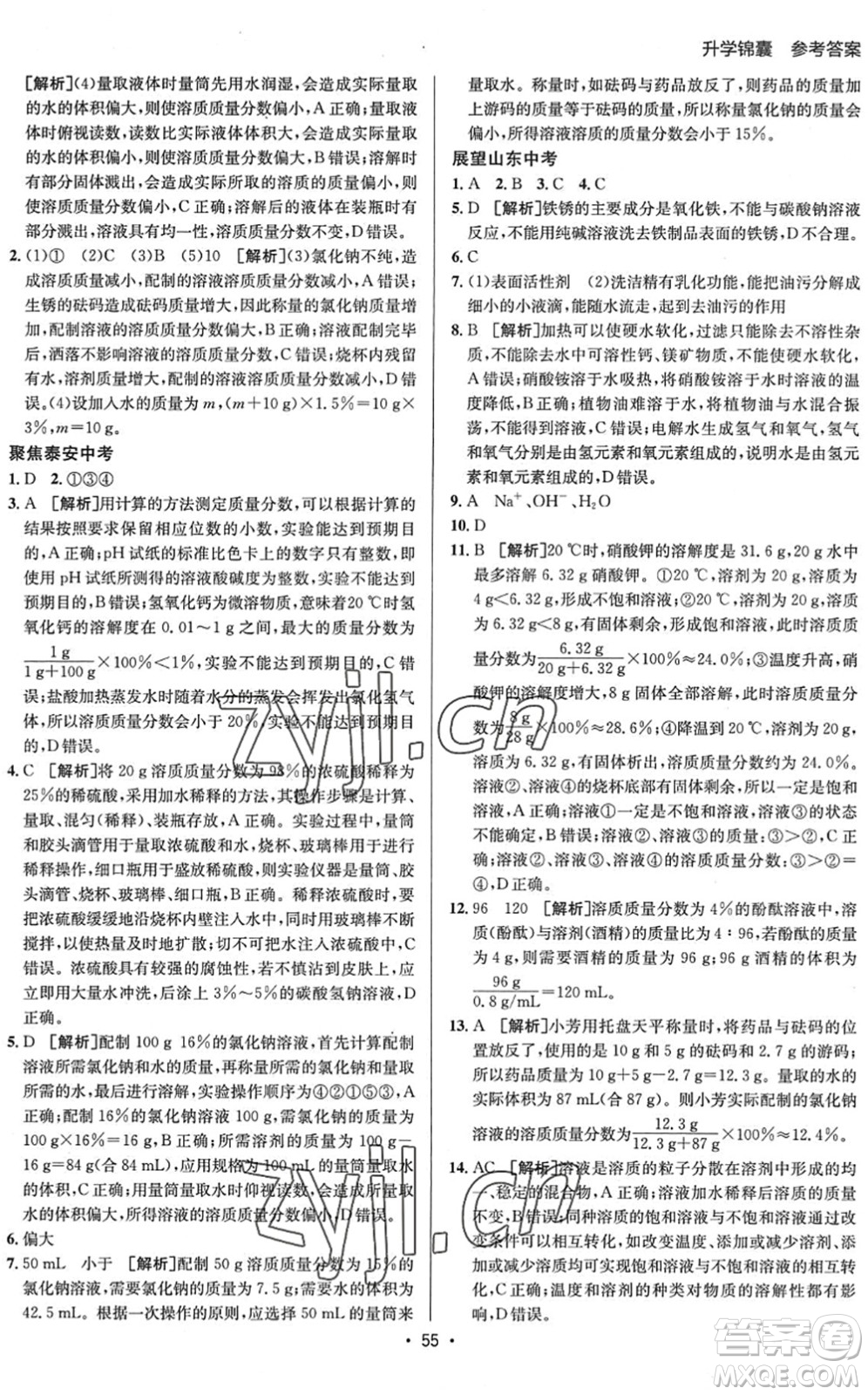 新疆青少年出版社2022升學(xué)錦囊九年級(jí)化學(xué)泰安專版答案