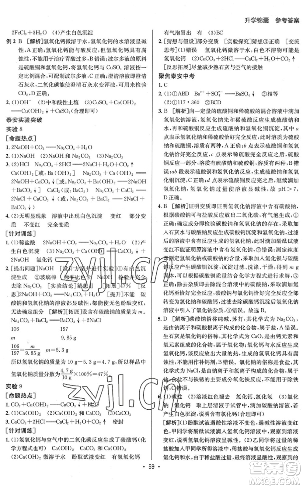 新疆青少年出版社2022升學(xué)錦囊九年級(jí)化學(xué)泰安專版答案