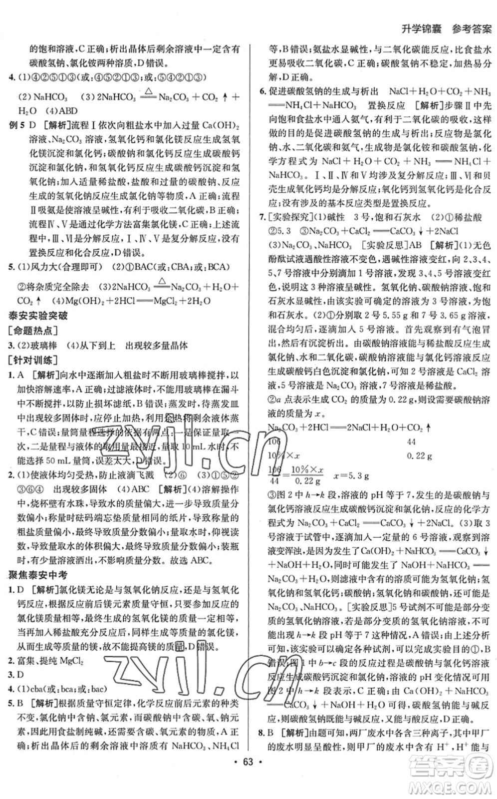 新疆青少年出版社2022升學(xué)錦囊九年級(jí)化學(xué)泰安專版答案