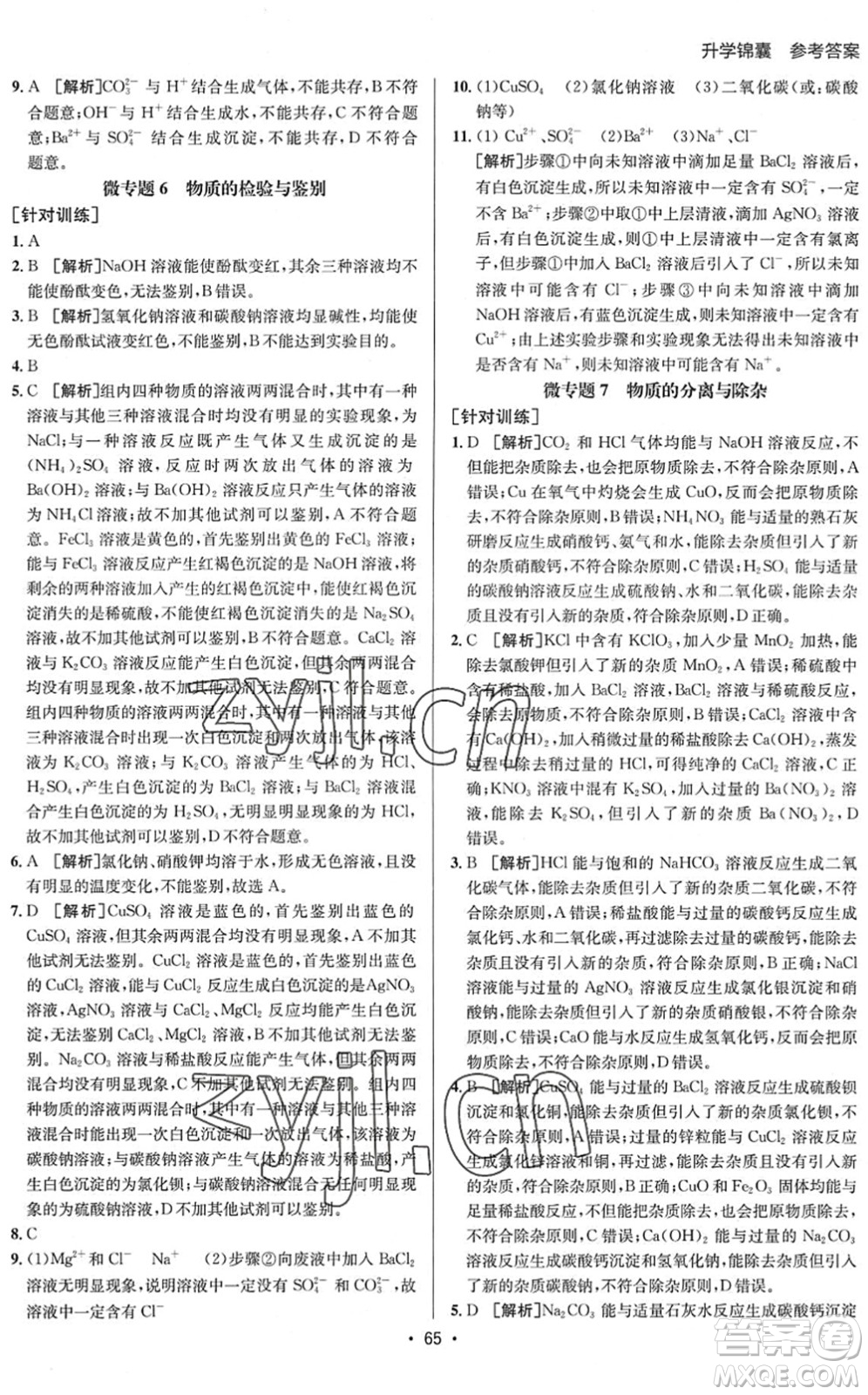 新疆青少年出版社2022升學(xué)錦囊九年級(jí)化學(xué)泰安專版答案