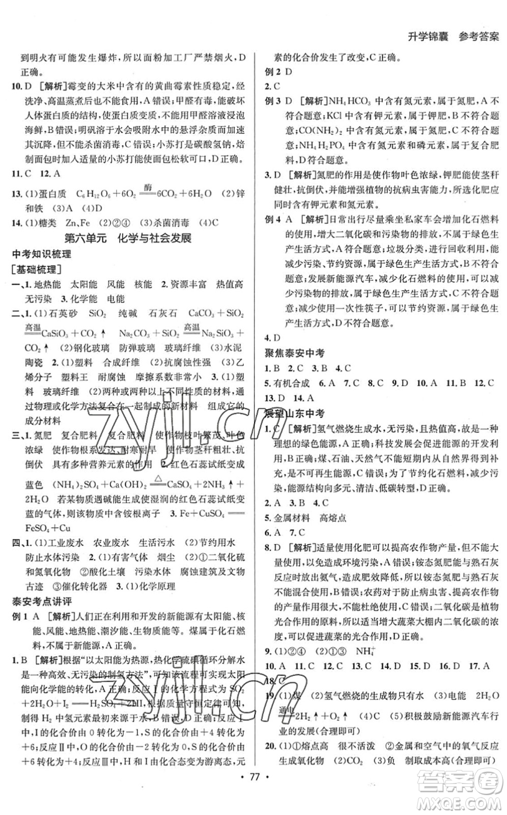 新疆青少年出版社2022升學(xué)錦囊九年級(jí)化學(xué)泰安專版答案