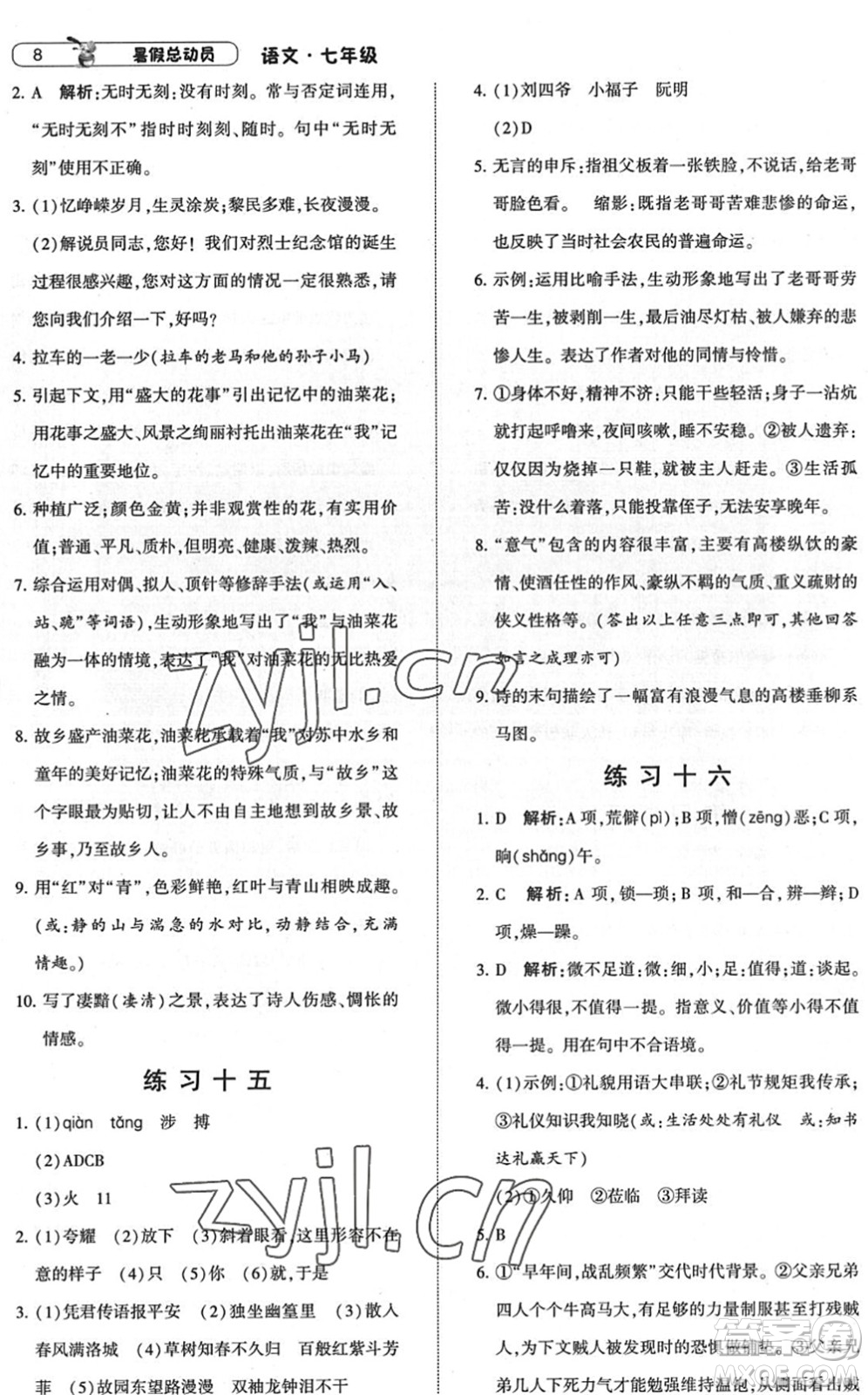 寧夏人民教育出版社2022經(jīng)綸學(xué)典暑假總動(dòng)員七年級(jí)語(yǔ)文人教版答案