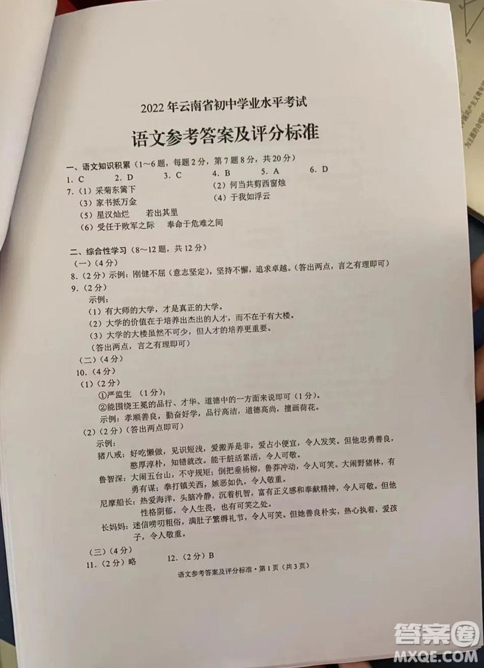 2022年云南省初中學業(yè)水平考試語文試題卷及答案