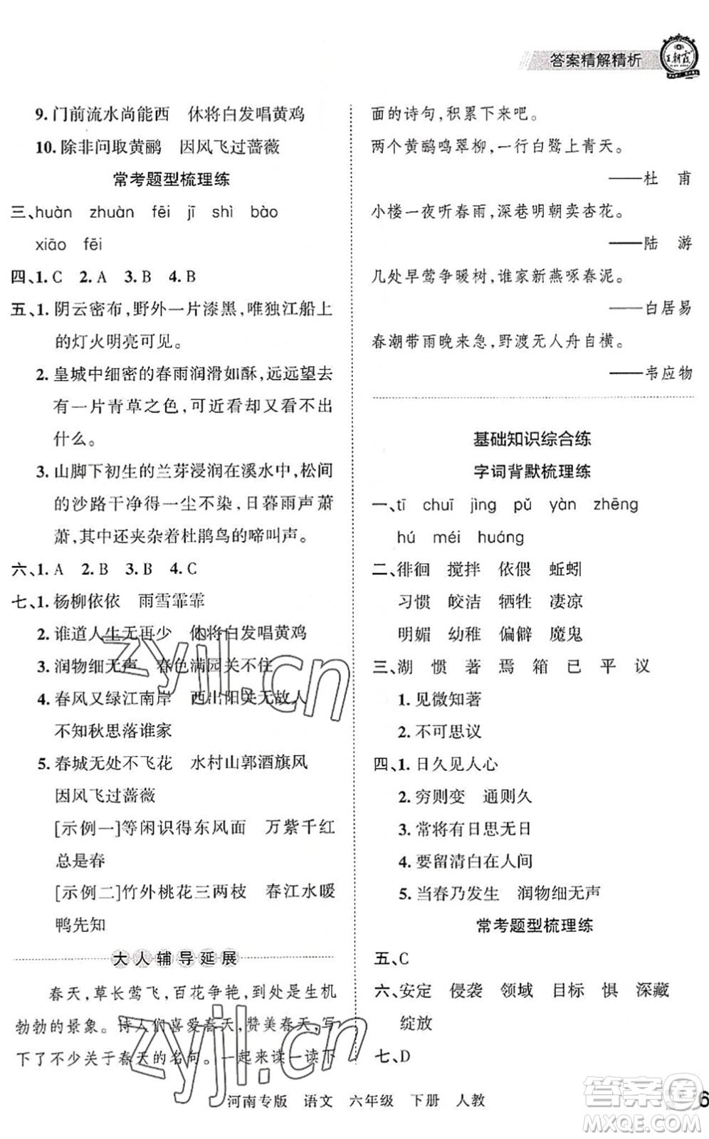 江西人民出版社2022王朝霞各地期末試卷精選六年級(jí)語(yǔ)文下冊(cè)人教版河南專(zhuān)版答案
