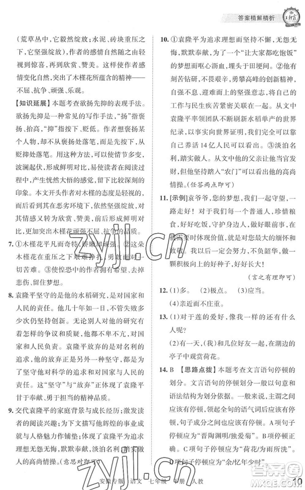 江西人民出版社2022王朝霞各地期末試卷精選七年級語文下冊人教版安徽專版答案