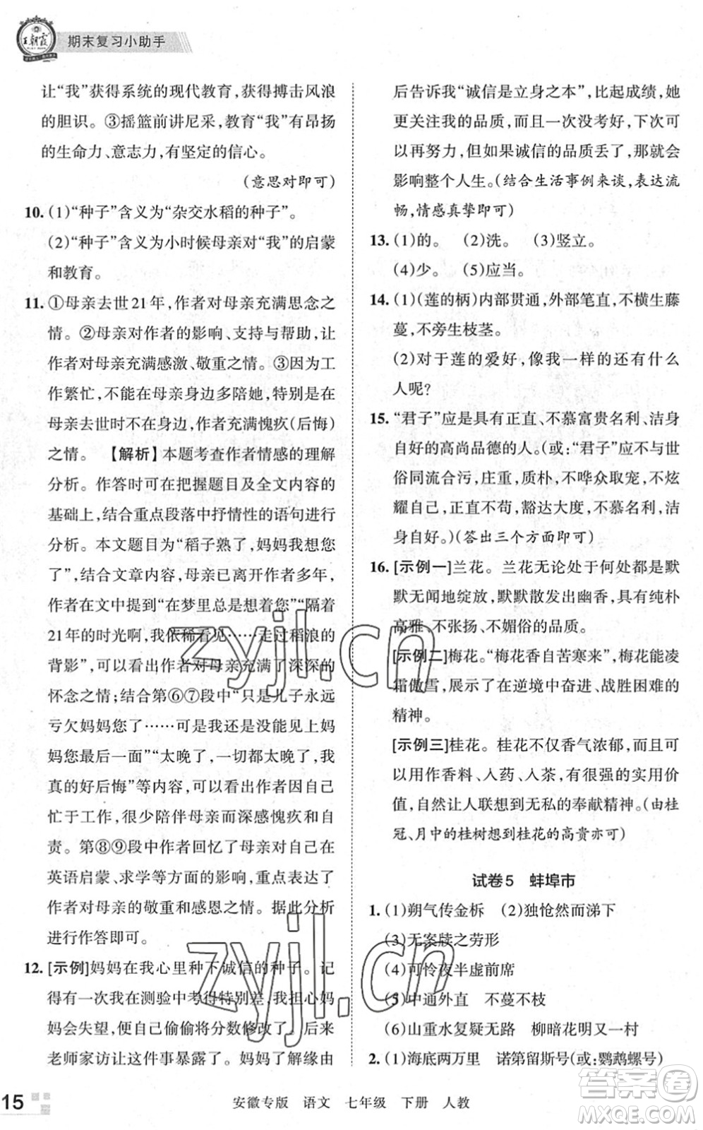 江西人民出版社2022王朝霞各地期末試卷精選七年級語文下冊人教版安徽專版答案