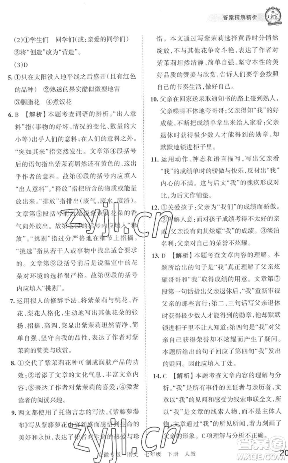 江西人民出版社2022王朝霞各地期末試卷精選七年級語文下冊人教版安徽專版答案