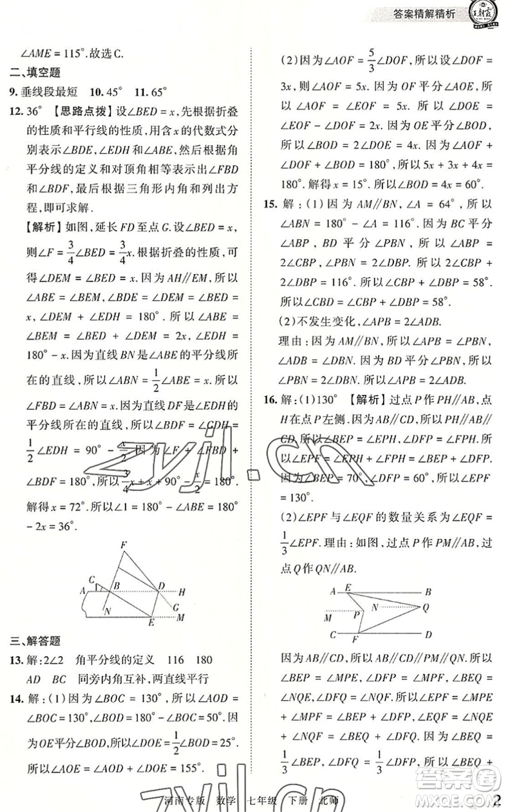 江西人民出版社2022王朝霞各地期末試卷精選七年級(jí)數(shù)學(xué)下冊(cè)北師大版河南專版答案