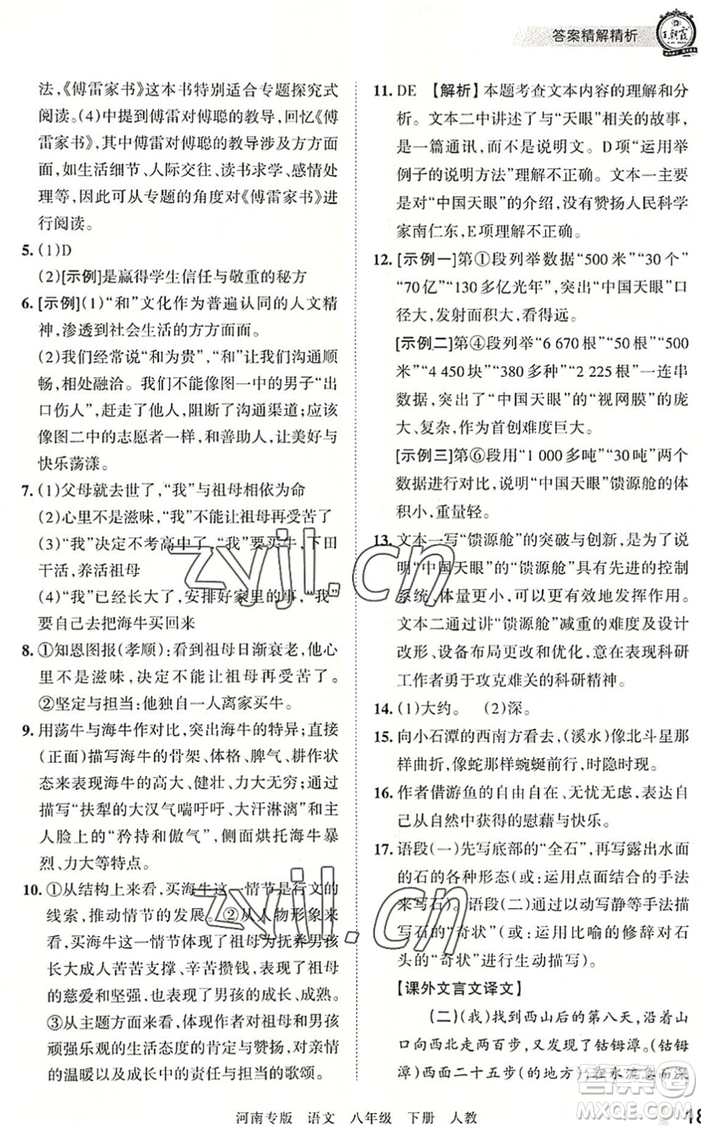 江西人民出版社2022王朝霞各地期末試卷精選八年級語文下冊人教版河南專版答案