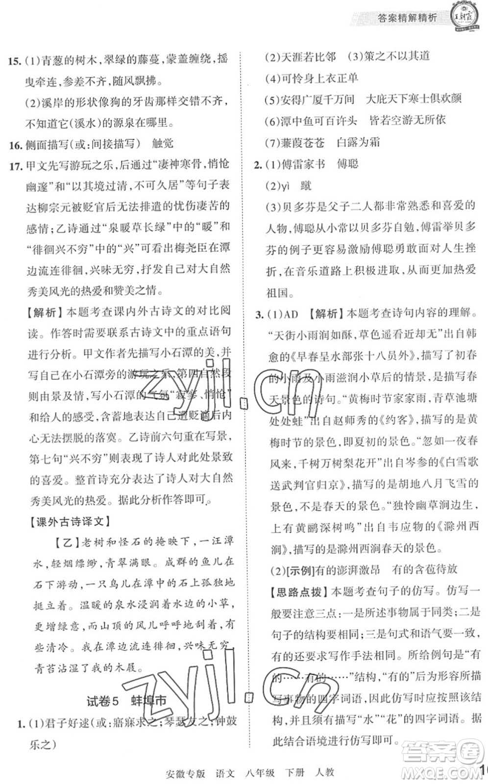江西人民出版社2022王朝霞各地期末試卷精選八年級(jí)語(yǔ)文下冊(cè)人教版安徽專版答案