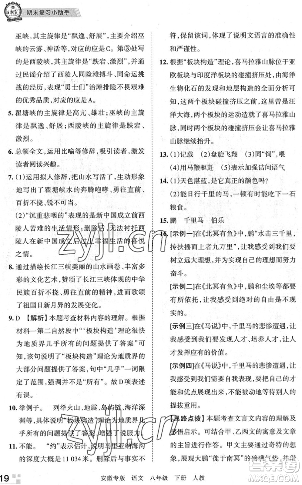 江西人民出版社2022王朝霞各地期末試卷精選八年級(jí)語(yǔ)文下冊(cè)人教版安徽專版答案