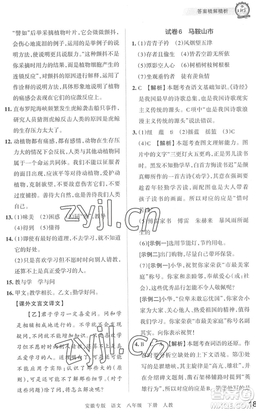 江西人民出版社2022王朝霞各地期末試卷精選八年級(jí)語(yǔ)文下冊(cè)人教版安徽專版答案