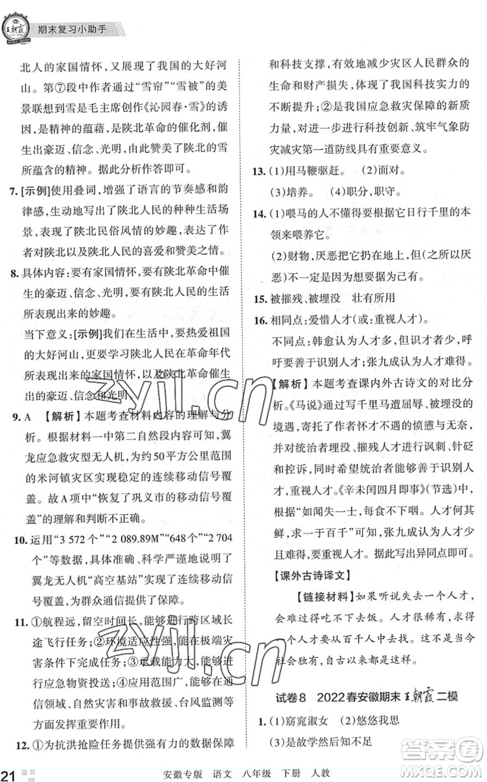 江西人民出版社2022王朝霞各地期末試卷精選八年級(jí)語(yǔ)文下冊(cè)人教版安徽專版答案