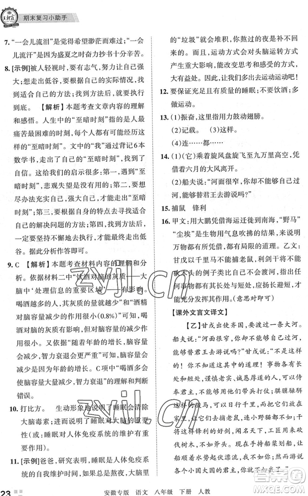 江西人民出版社2022王朝霞各地期末試卷精選八年級(jí)語(yǔ)文下冊(cè)人教版安徽專版答案