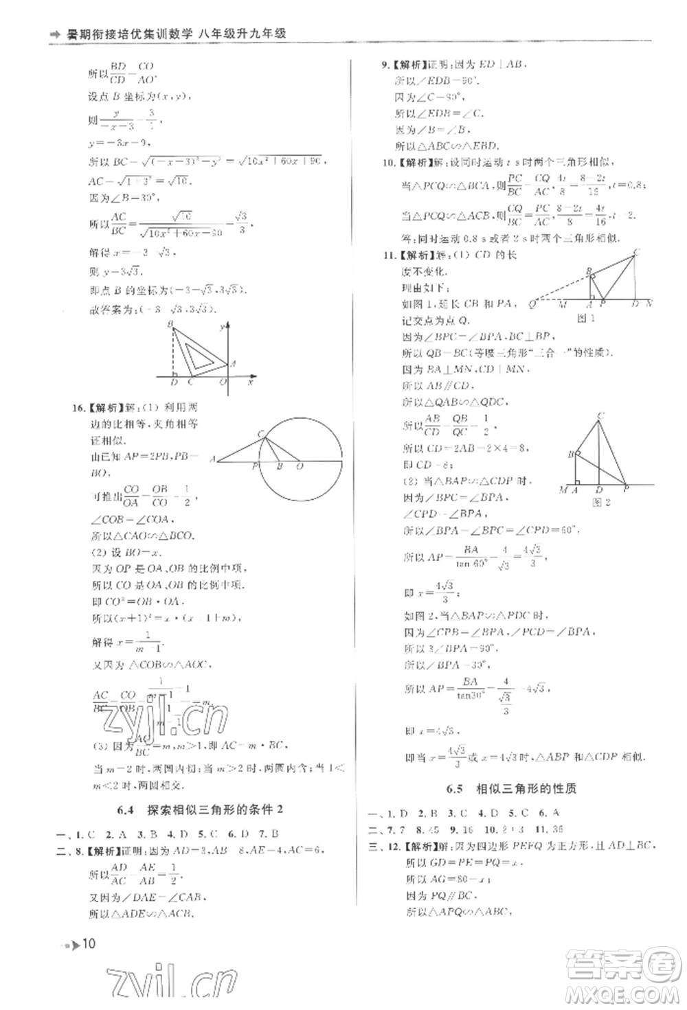 南京出版社2022暑期銜接培優(yōu)集訓八升九數學通用版參考答案