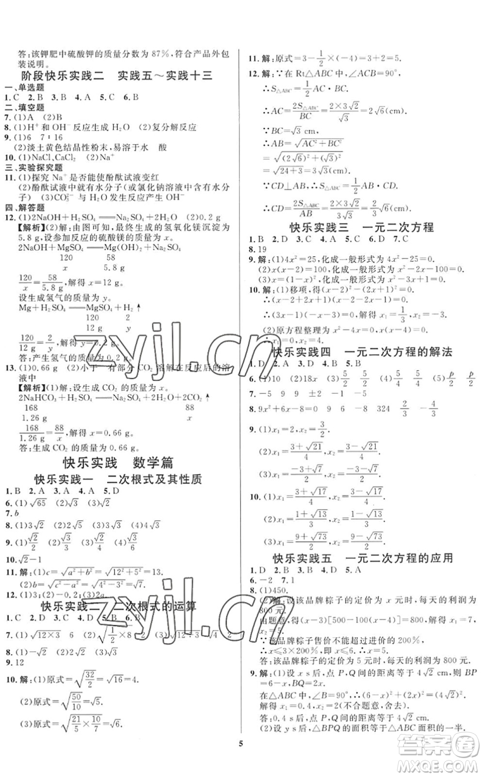 延邊教育出版社2022暑假作業(yè)快樂實(shí)踐八年級(jí)勞育安全與數(shù)理通用版答案