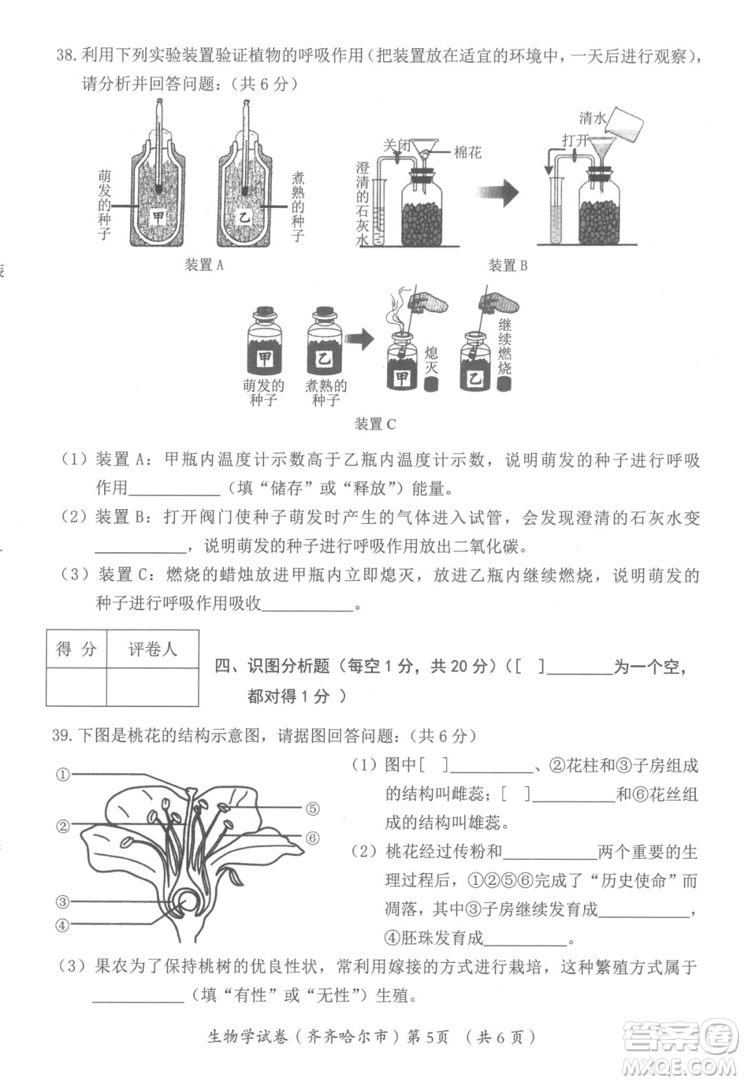 2022年齊齊哈爾市初中學(xué)業(yè)考試生物學(xué)試卷及答案