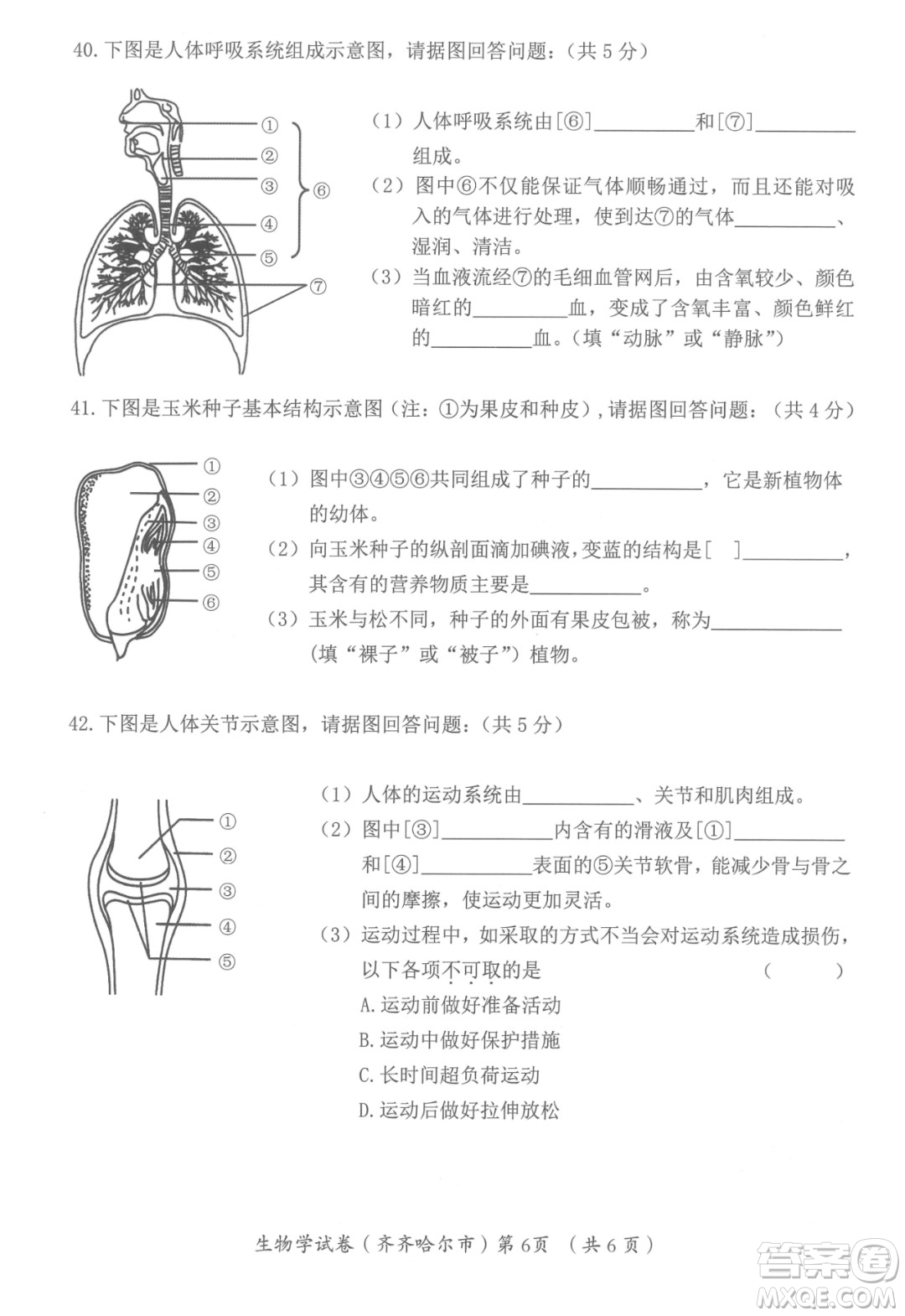 2022年齊齊哈爾市初中學(xué)業(yè)考試生物學(xué)試卷及答案