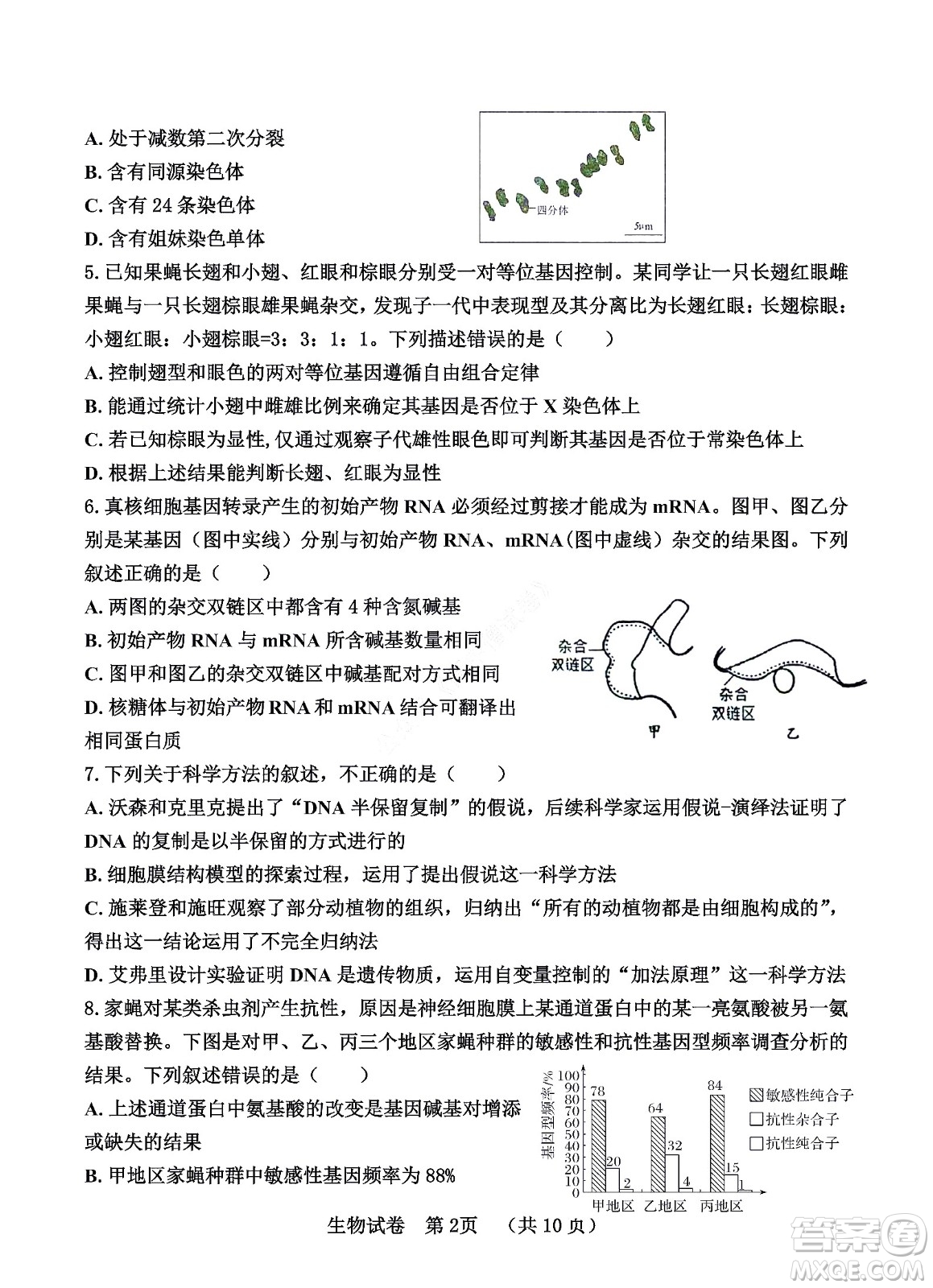 河北省五個(gè)一名校聯(lián)盟2023屆高三年級摸底考試生物試卷及答案