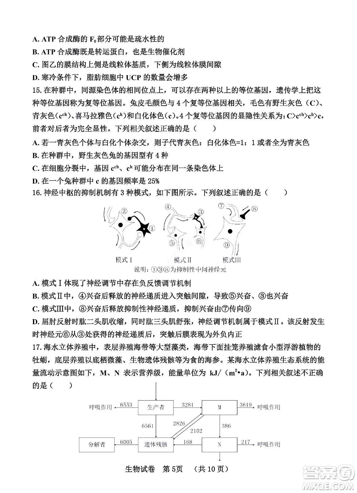 河北省五個(gè)一名校聯(lián)盟2023屆高三年級摸底考試生物試卷及答案