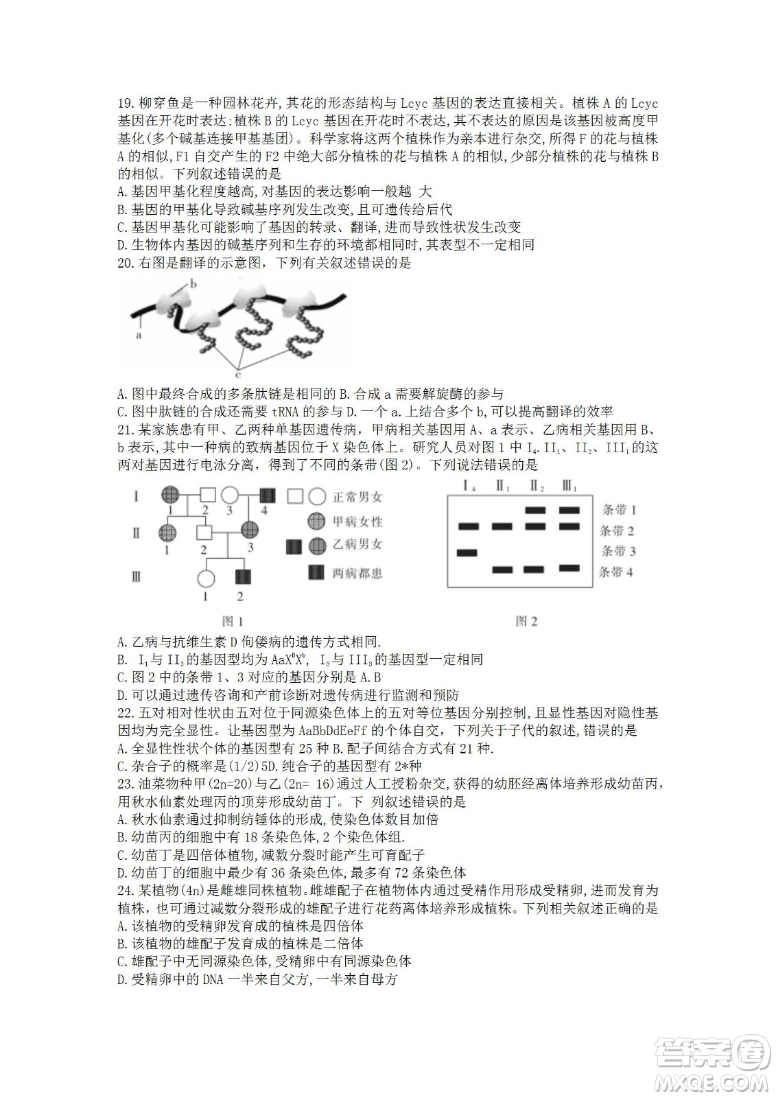 湖北省十堰市2021-2022學(xué)年下學(xué)期期末調(diào)研考試高一生物試題及答案