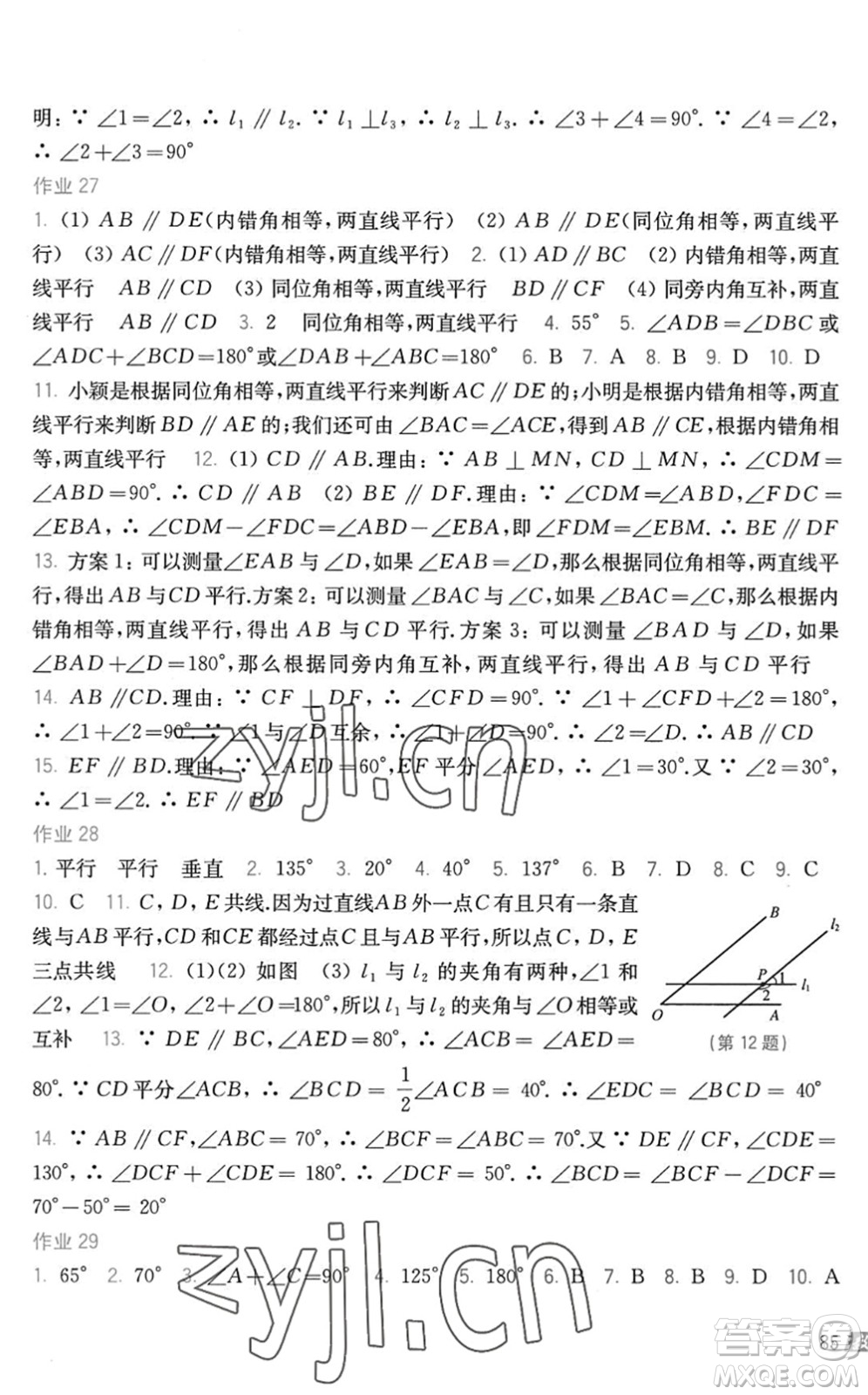 上?？茖W(xué)技術(shù)出版社2022暑假作業(yè)七年級(jí)數(shù)學(xué)滬科版答案